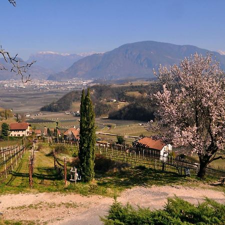 Firmelein Daire Appiano Sulla Strada Del Vino Dış mekan fotoğraf