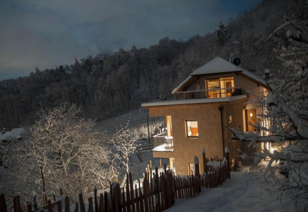 Firmelein Daire Appiano Sulla Strada Del Vino Dış mekan fotoğraf